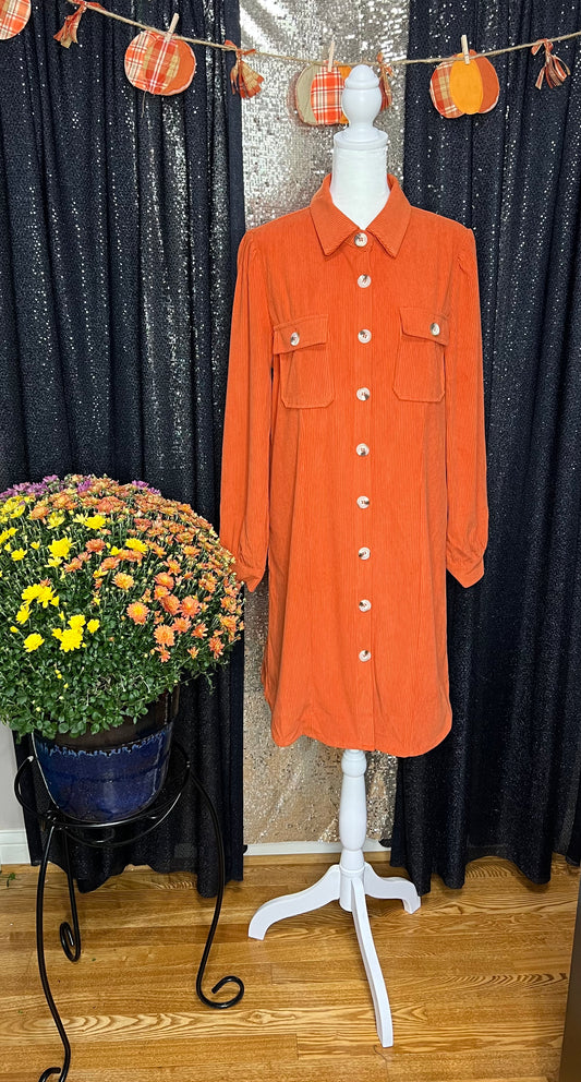 Orange You Glad It's Corduroy Dress (IN STOCK)