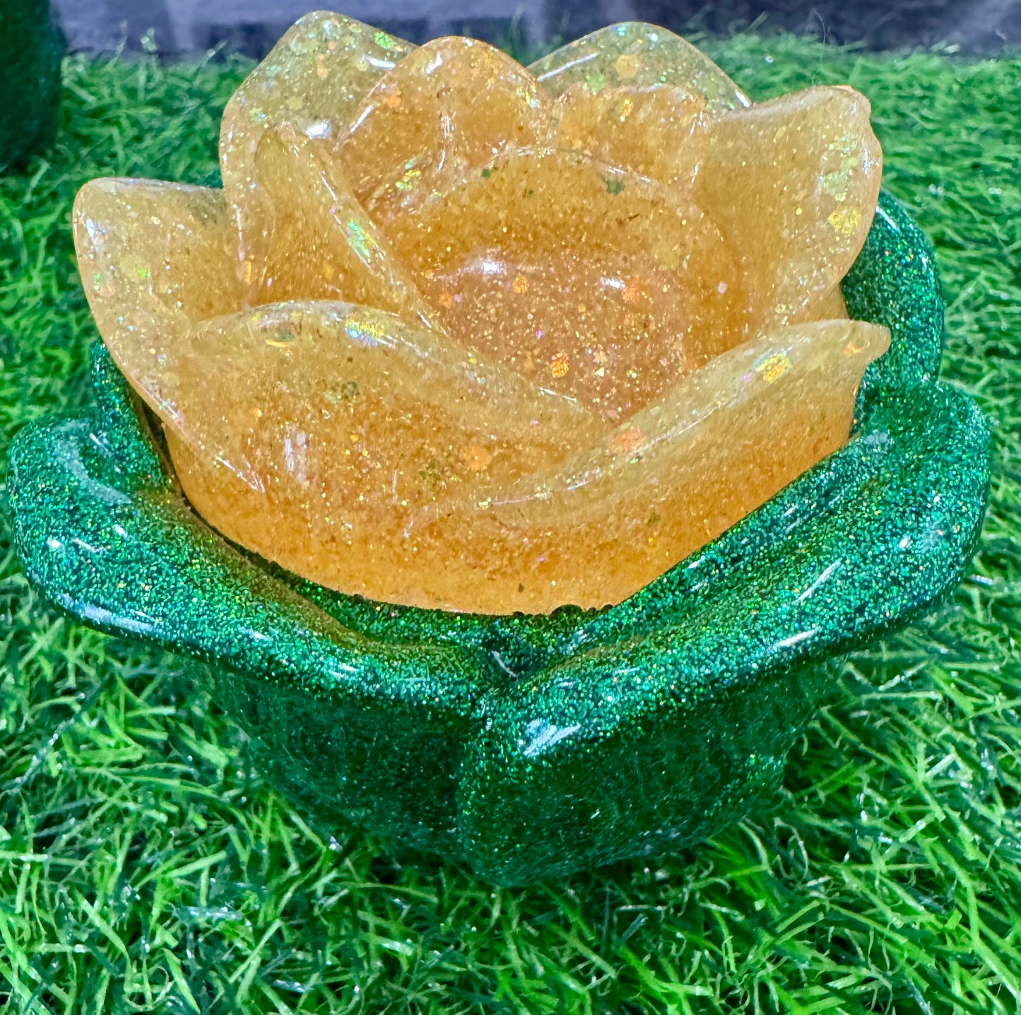 A Rose Without The Thorns
