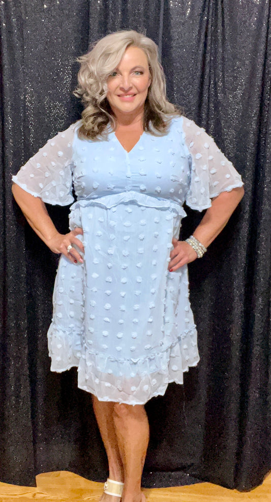 The Little Blue Dress (IN STOCK)